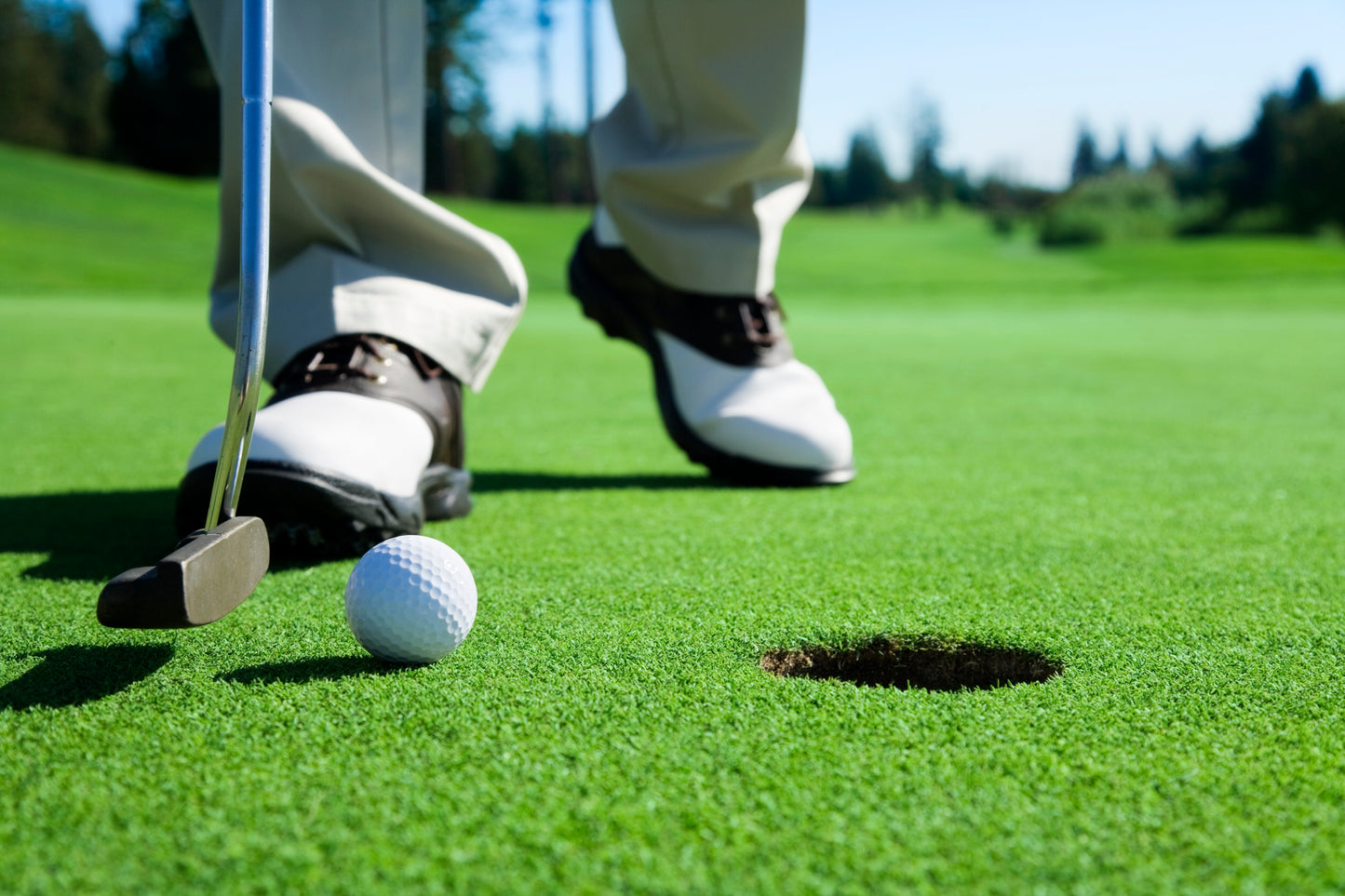 Fairway Twilight League
