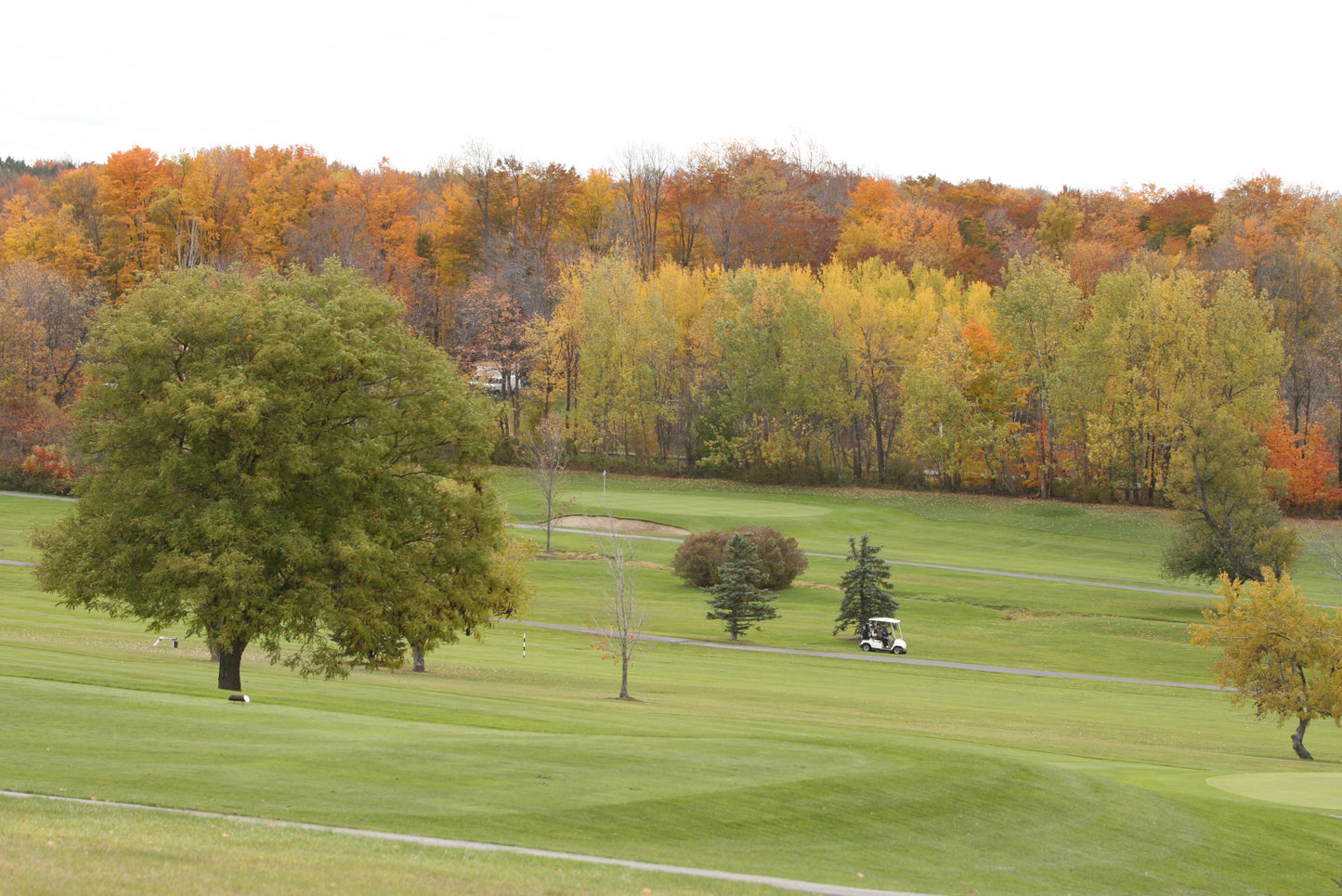 Thursday Fairway League